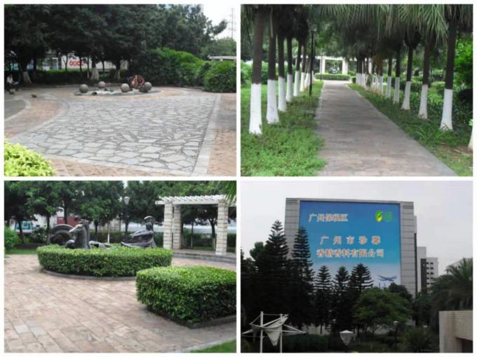 روغن عطر فرنگیپانی عطر چوبی طولانی مدت عطر برای ساخت عطر 14