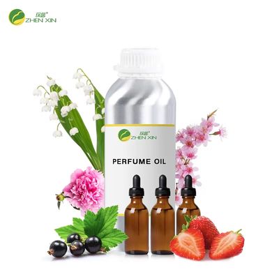 Brand Perfume Fragrance Oil High Quality French Perfume Fragrance Body Fragrance Oil for Diary Care Factory Supplier