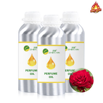 عطر عطر عطر عطر عطر عطر عطر عطر عطر عطر عطر عطر عطر عطر عطر عطر عطر عطر عطر عطر