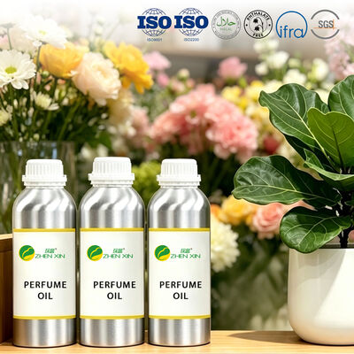 Dubai Luxury Brand Perfume Oil Long Lasting Perfume Fragrance Wholesale